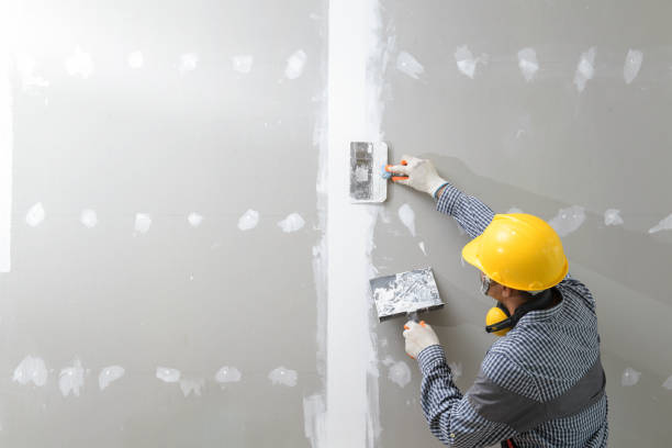 Environmental Consulting for Mold Prevention in Asheboro, NC