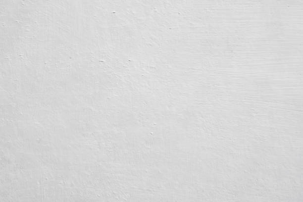 Mold Remediation for Rental Properties in Asheboro, NC